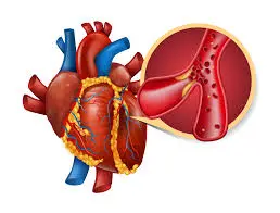 مميزات عيادة امراض القلب والصدر بالمهندسين بمستشفى ويلكير